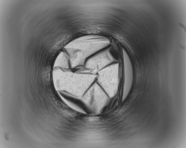 X0000099560501200806131237