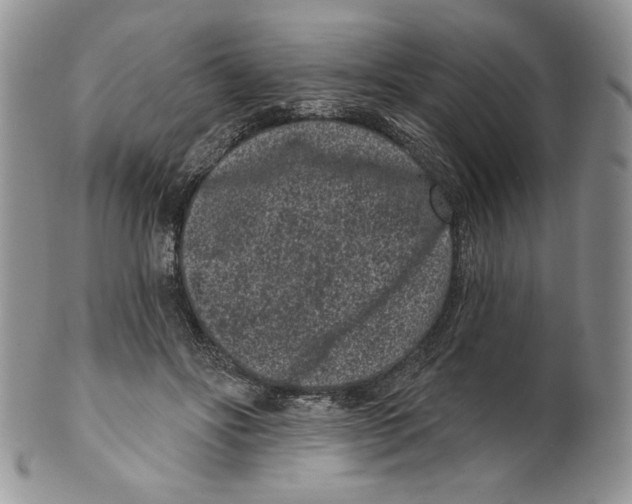 X0000099560502200806131237