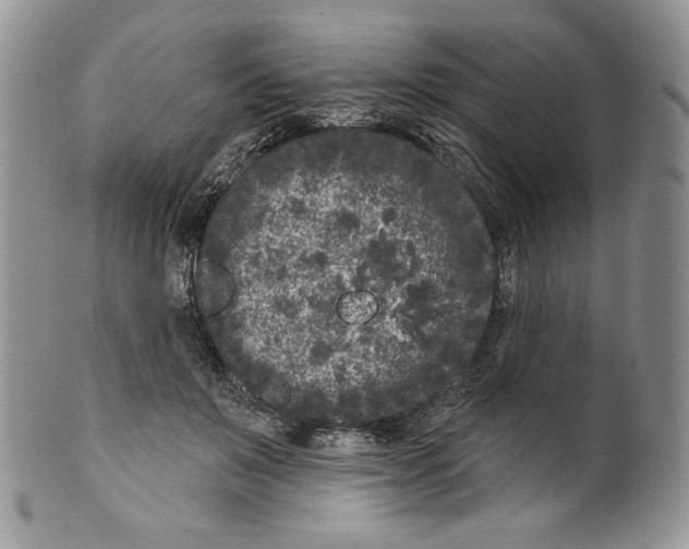 X0000099560503200806131237