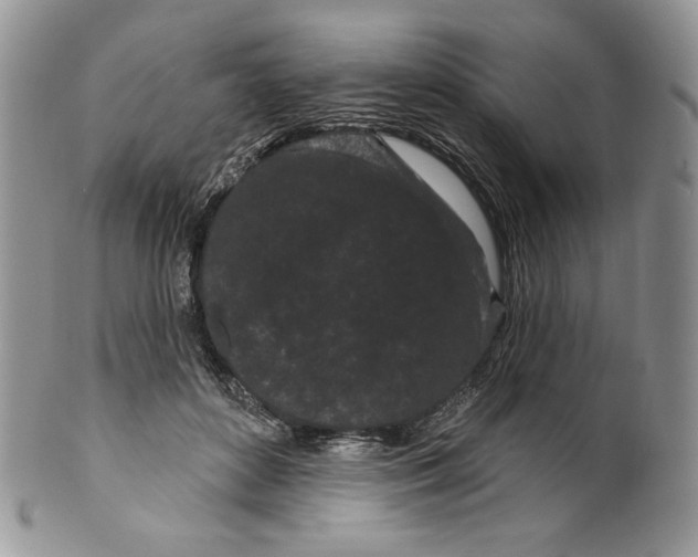 X0000099560504200806131237