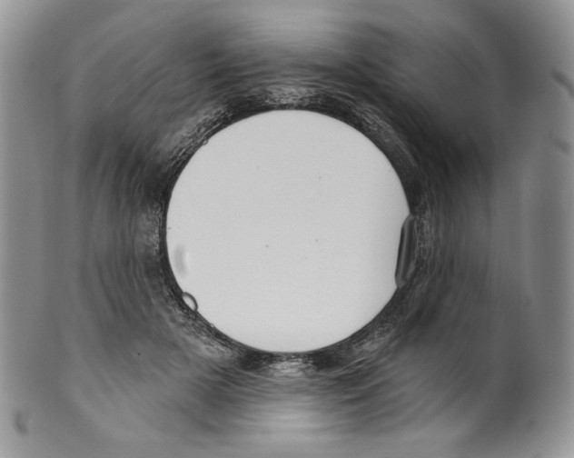 X0000099560505200806131237