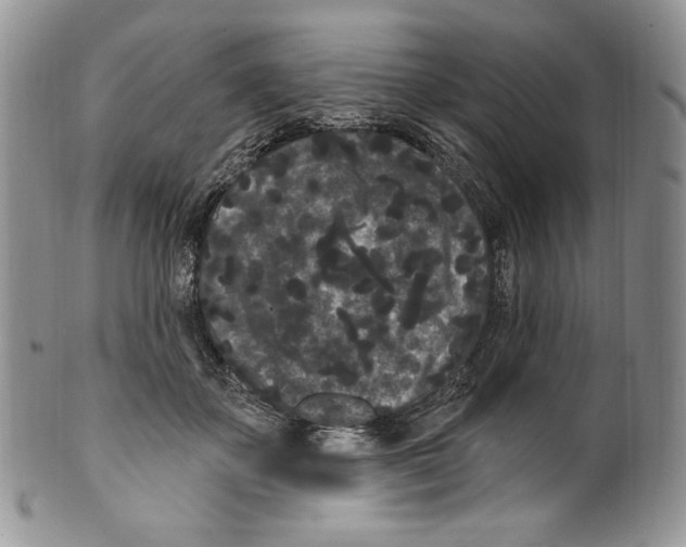 X0000099560507200806131237