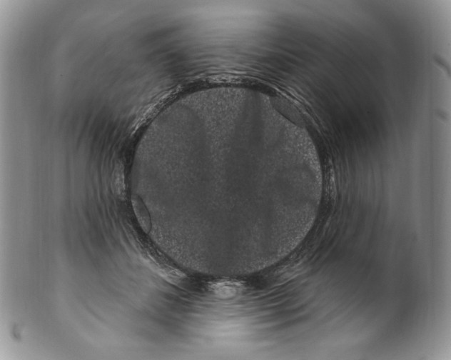 X0000099560508200806131237