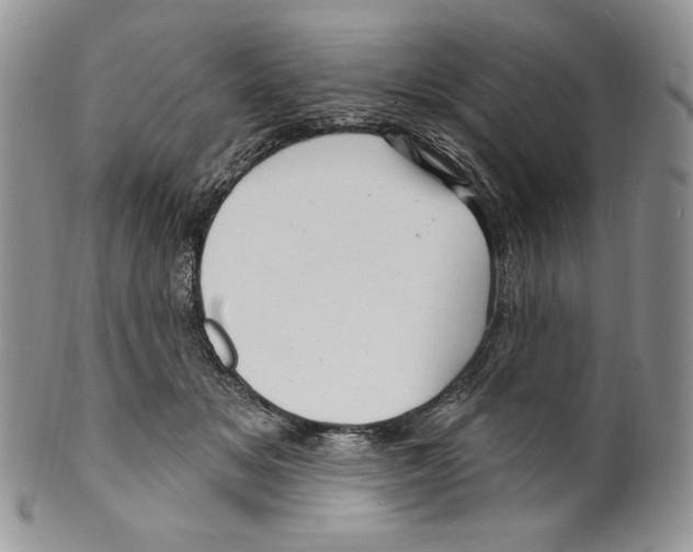 X0000099560509200806131237