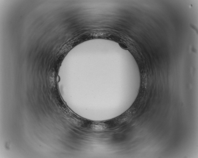 X0000099560510200806131237
