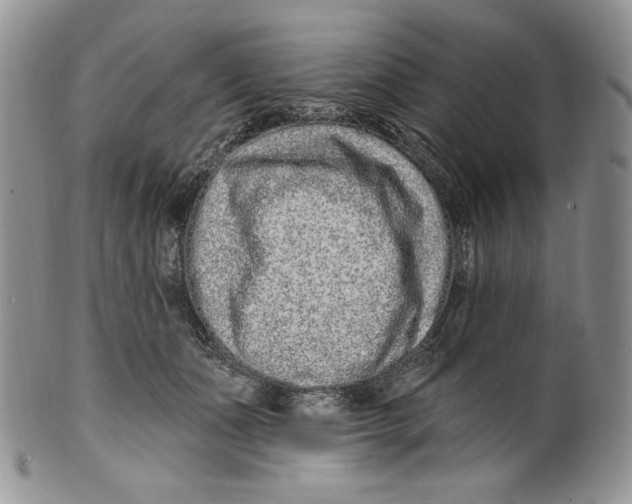 X0000099560511200806131237