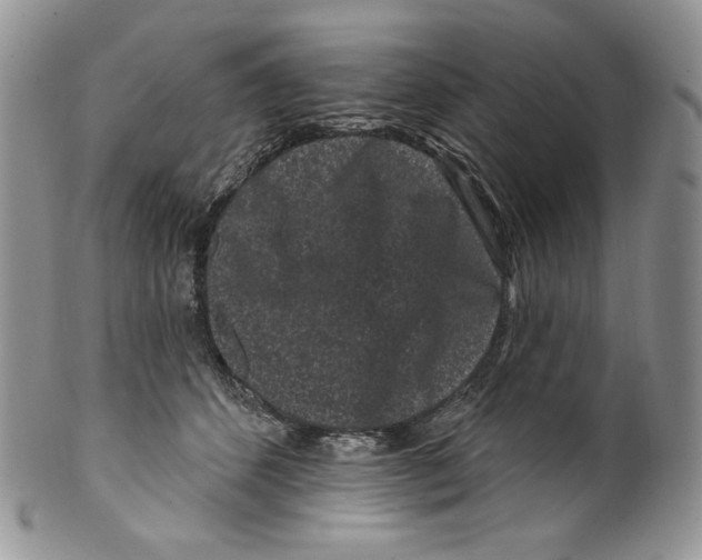 X0000099560512200806131237