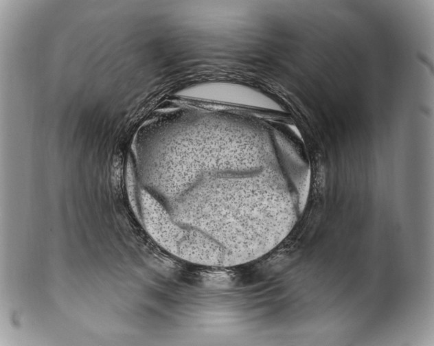 X0000099560513200806131237