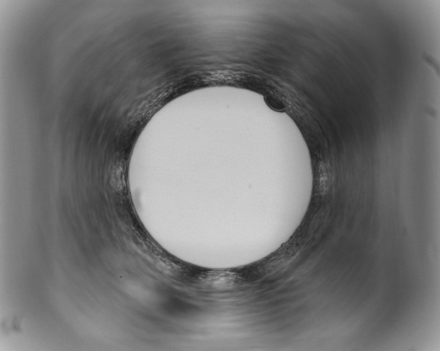 X0000099560514200806131237