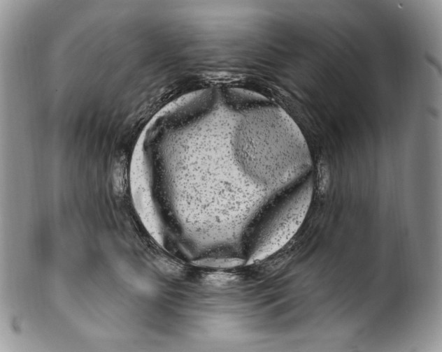 X0000099560515200806131237