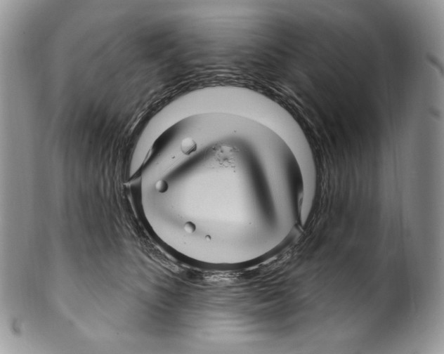 X0000099560516200806131237