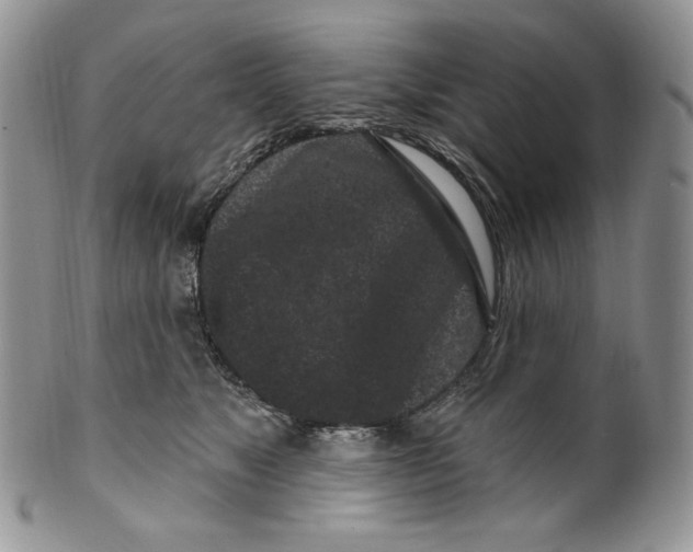 X0000099560517200806131237