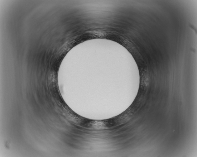 X0000099560518200806131237