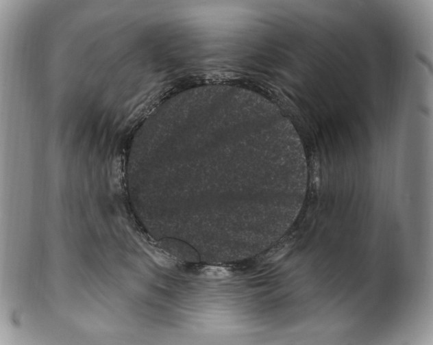 X0000099560519200806131237