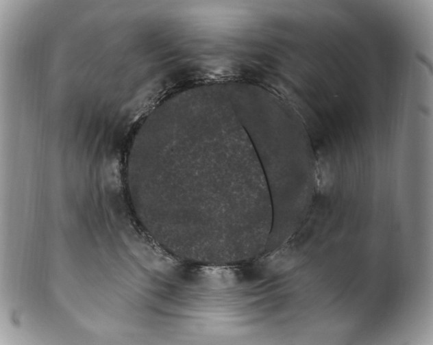 X0000099560520200806131237