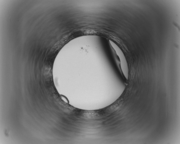 X0000099560521200806131237