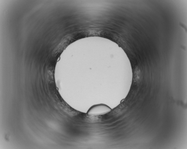 X0000099560522200806131237