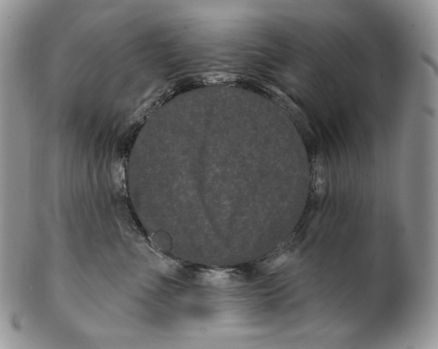 X0000099560523200806131237