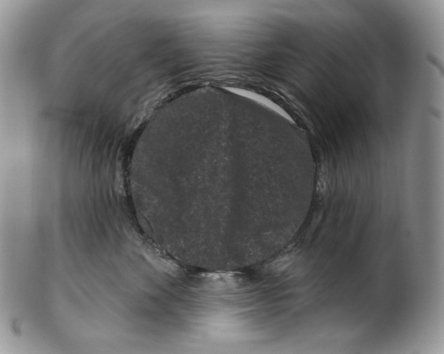X0000099560524200806131237