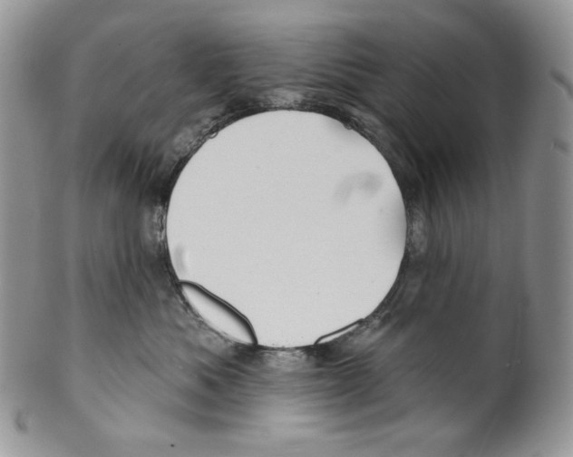 X0000099560525200806131237