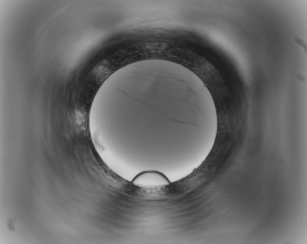 X0000099560526200806131237