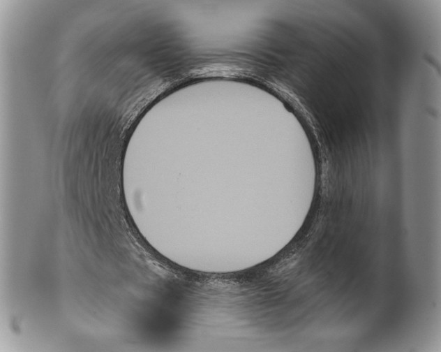 X0000099560529200806131236