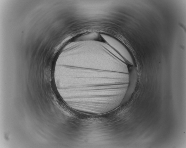 X0000099560530200806131236