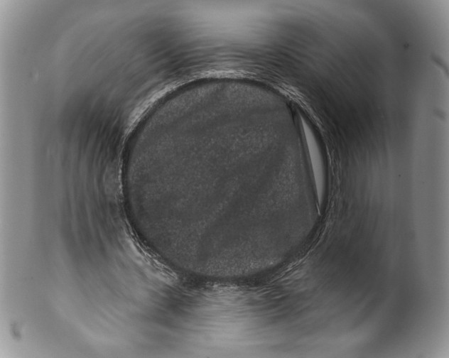 X0000099560531200806131236