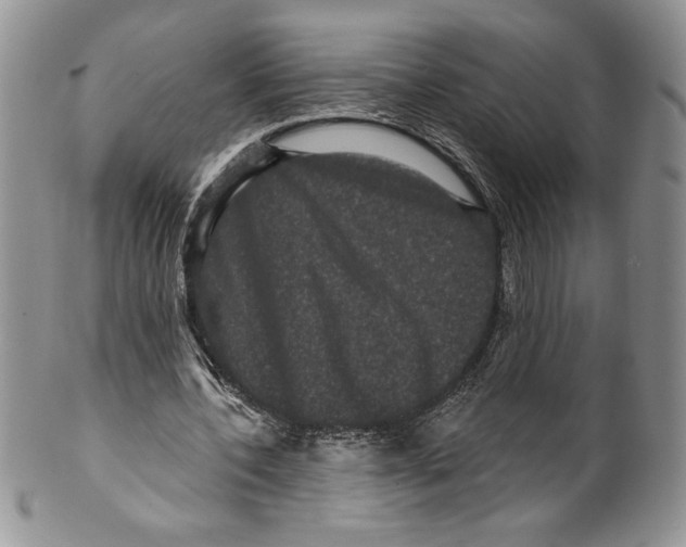 X0000099560532200806131236