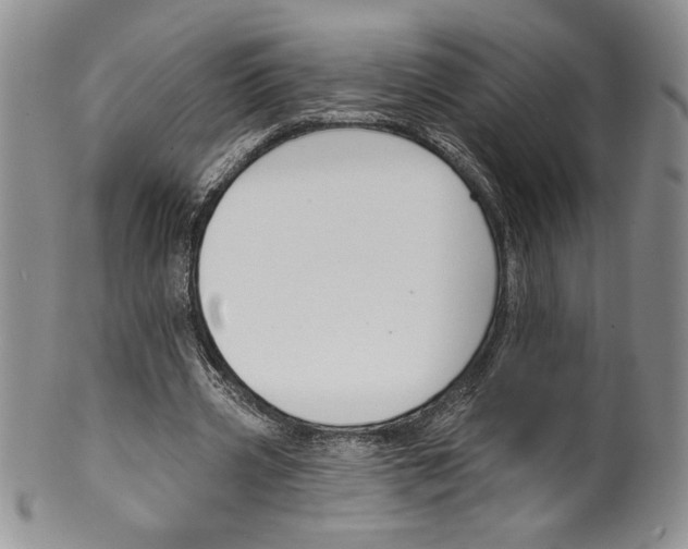 X0000099560533200806131236