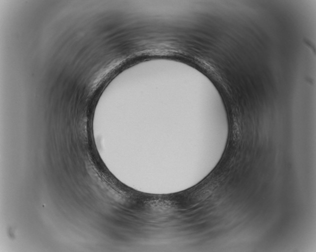 X0000099560535200806131236