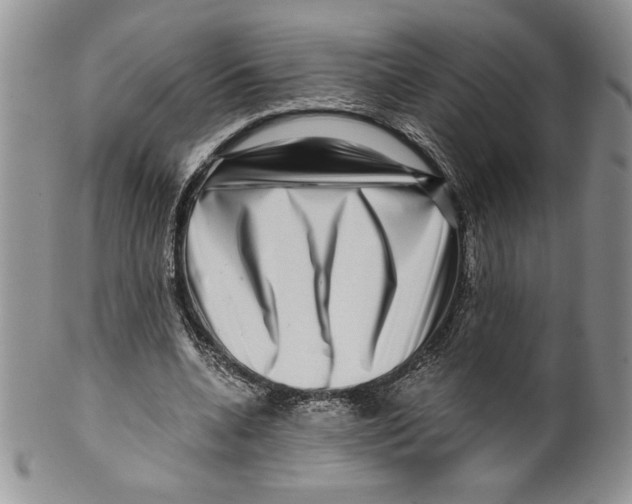 X0000099560536200806131236