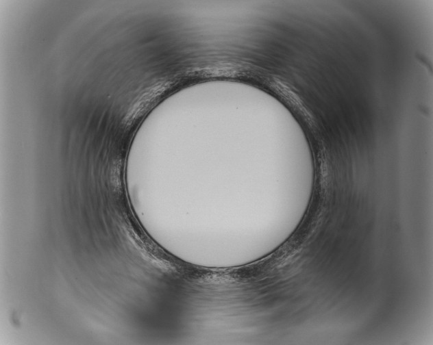 X0000099560537200806131236