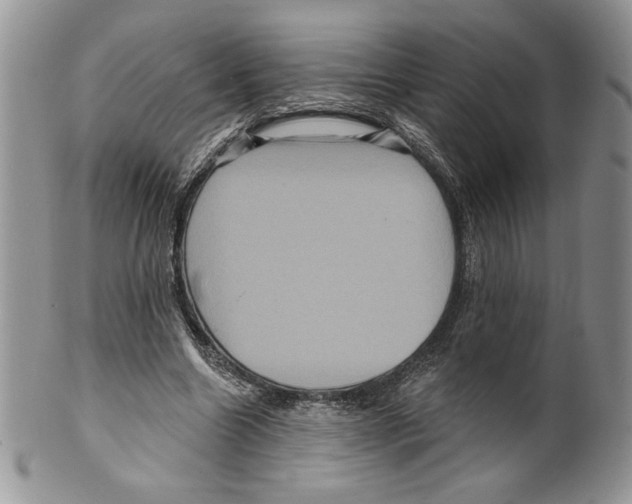 X0000099560538200806131236