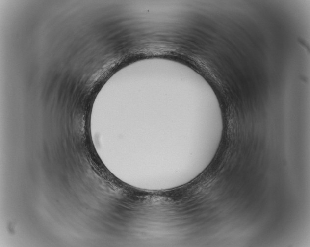 X0000099560539200806131236