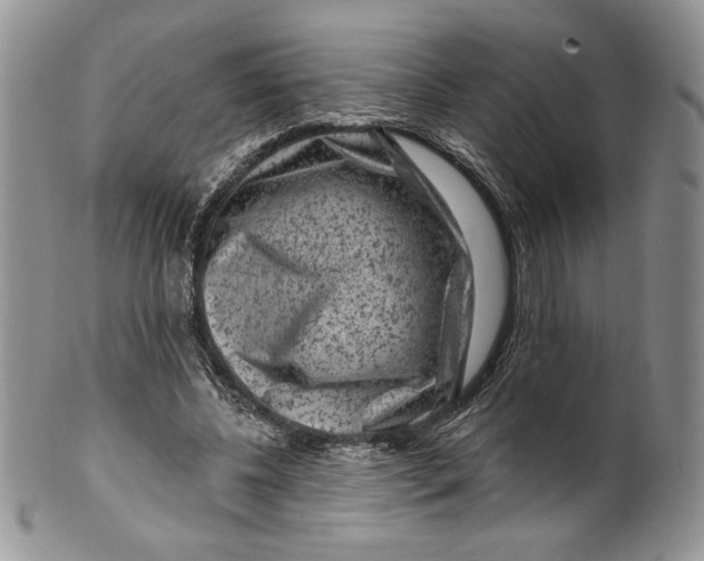 X0000099560540200806131236