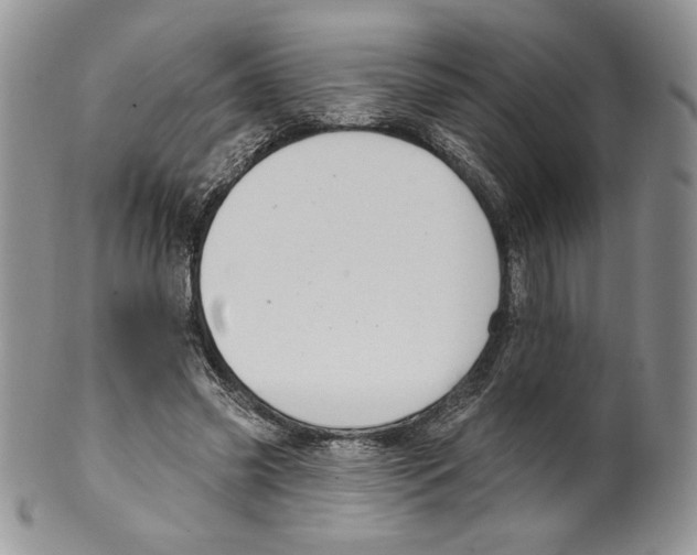 X0000099560541200806131236