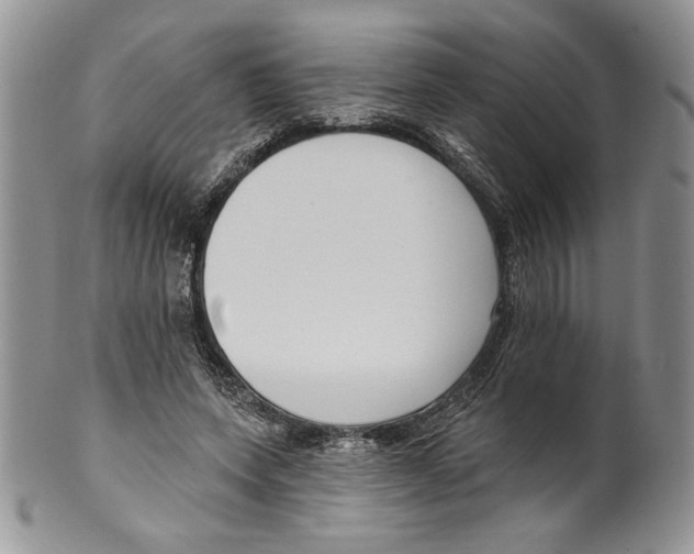 X0000099560543200806131236