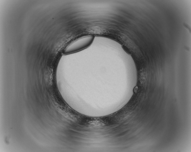 X0000099560544200806131236