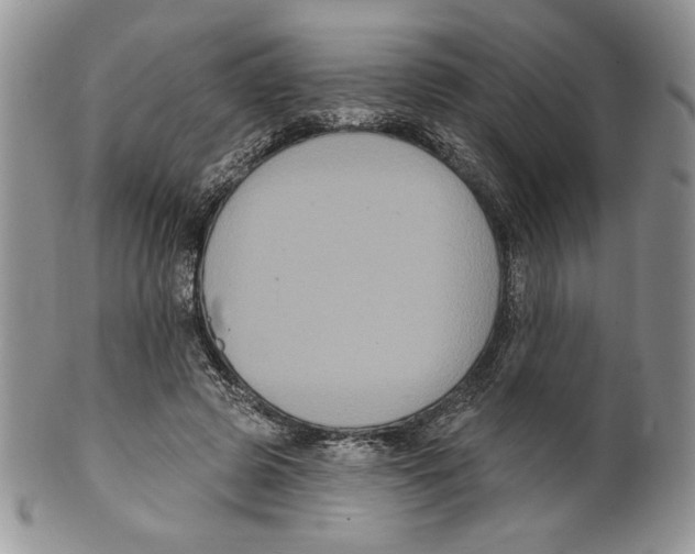 X0000099560545200806131236