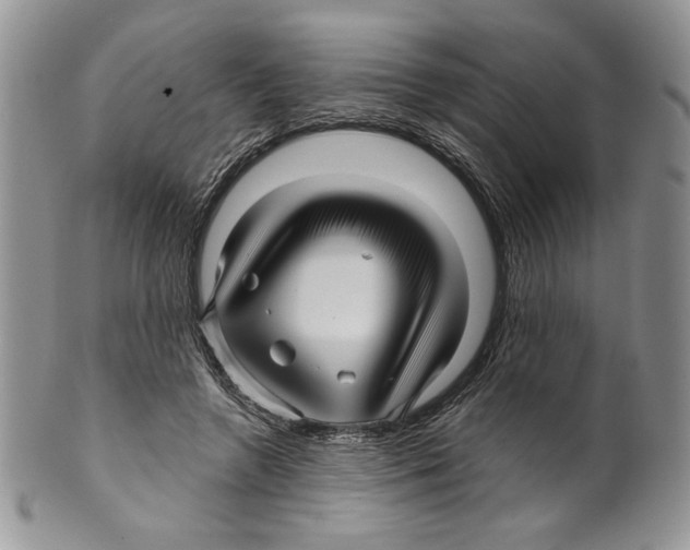 X0000099560546200806131236