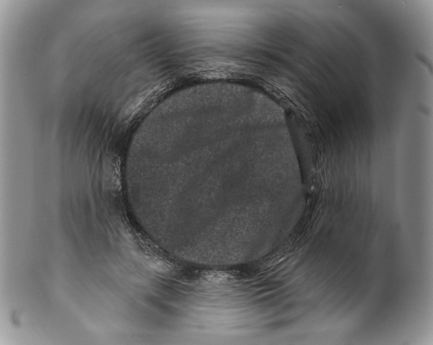 X0000099560547200806131236