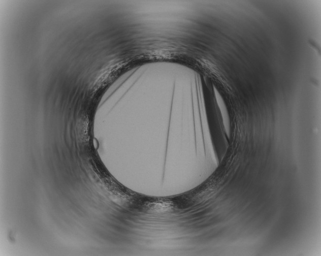 X0000099560548200806131236
