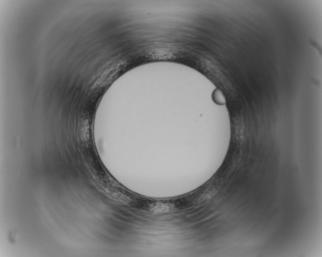X0000099560549200806131236