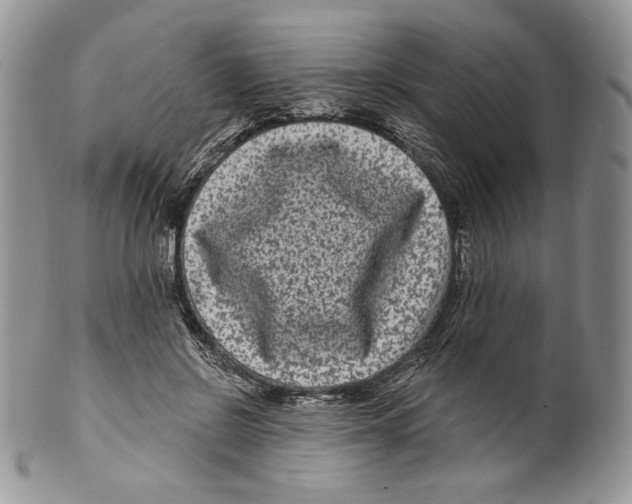 X0000099560550200806131236
