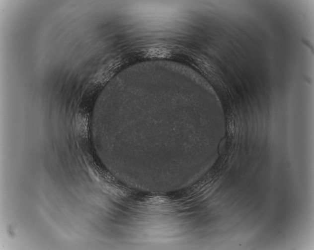 X0000099560551200806131236