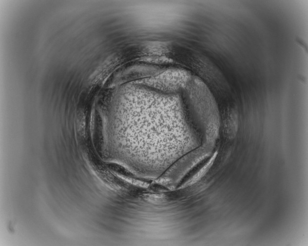 X0000099560552200806131236