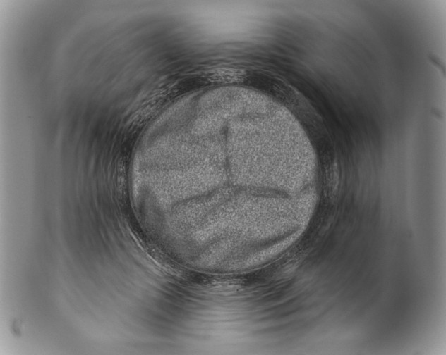 X0000099560553200806131236