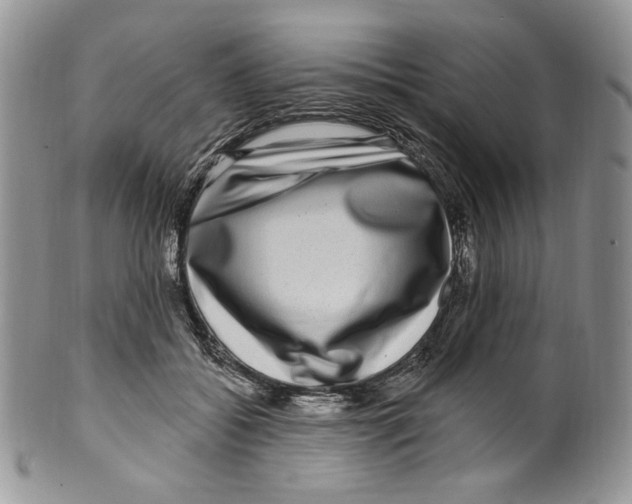 X0000099560556200806131236