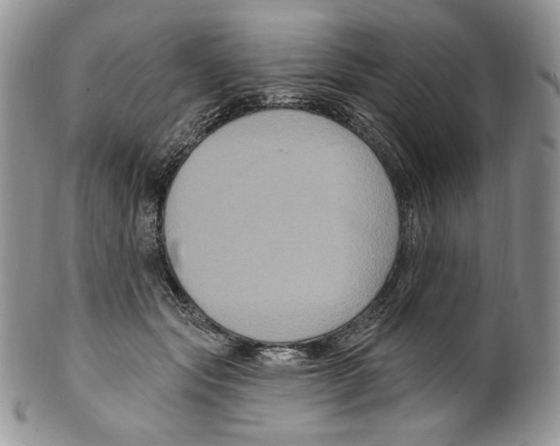 X0000099560557200806131236